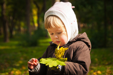 Similar image 983338