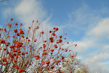 Similar image 983347