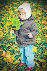 Similar image 983354