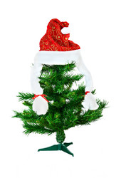 Similar image 983357