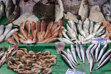 Similar image 983399