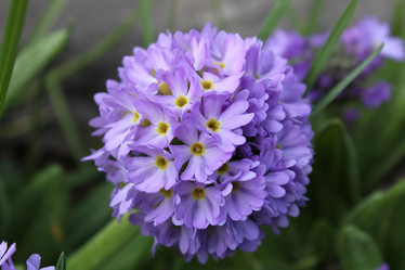 Similar image 983402