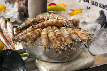 Similar image 983407