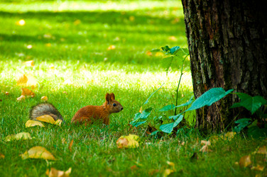 Similar image 983439