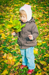 Similar image 983467