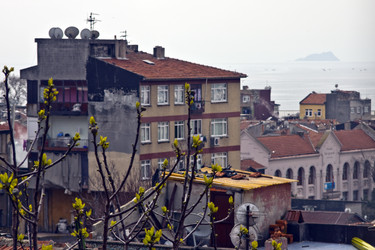 Similar image 983468