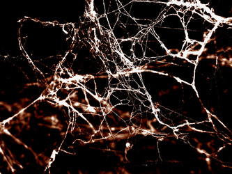 Similar image 983514