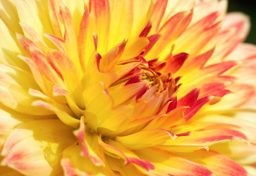 Similar image 983621