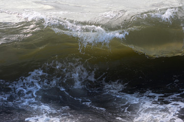 Similar image 983623