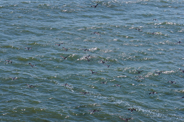 Similar image 983631