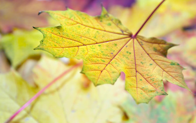 Similar image 983637