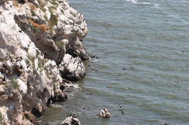 Similar image 983641