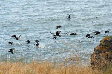 Similar image 983645