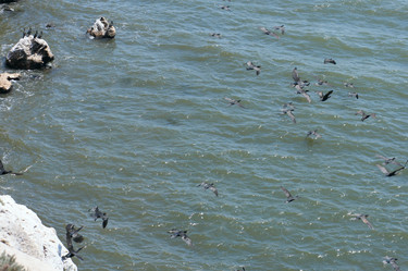 Similar image 983646