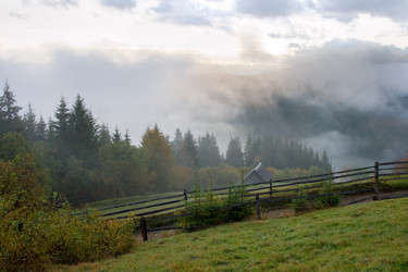 Similar image 983652