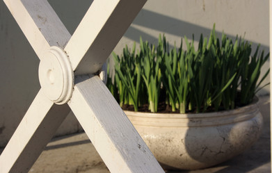 Similar image 983668