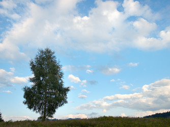 Similar image 983672