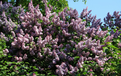 Similar image 983683