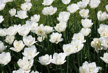 Similar image 983684