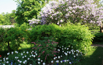 Similar image 983703