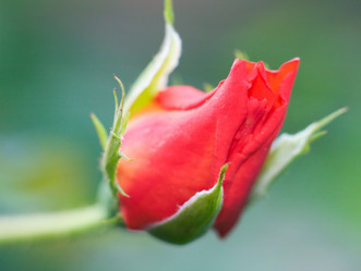 Similar image 983708