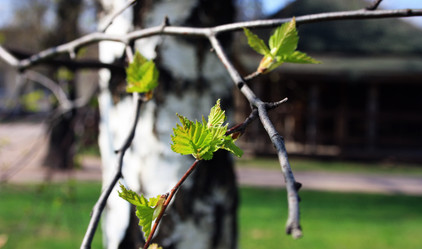 Similar image 983716