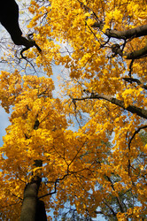 Similar image 983721