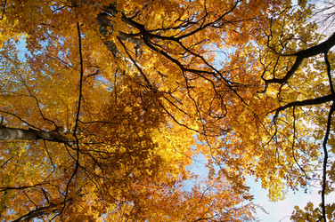 Similar image 983726