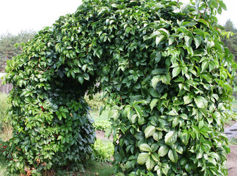 Similar image 983730