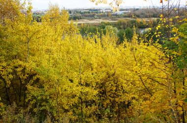 Similar image 983735