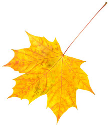 Similar image 983736