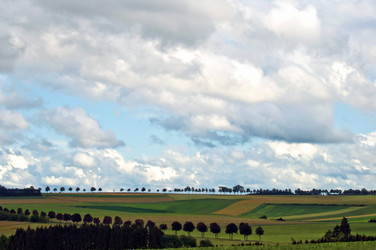 Similar image 983738