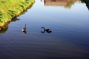 Similar image 983745