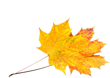 Similar image 983748