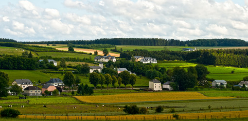 Similar image 983759