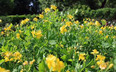 Similar image 983774