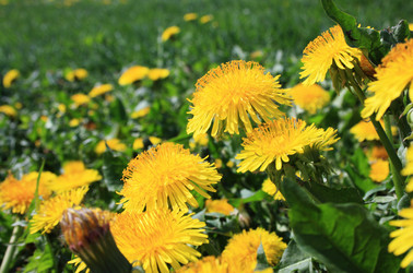 Similar image 983776