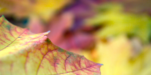 Similar image 983801