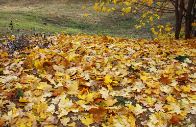 Similar image 983814