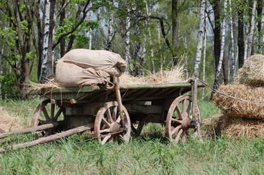 Similar image 983816