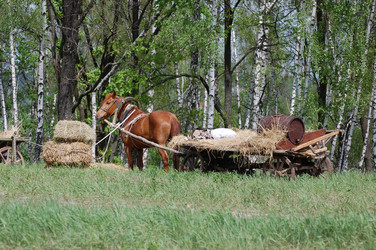 Similar image 983822