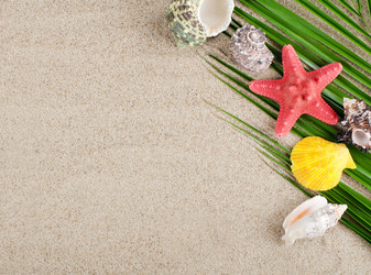 Similar image 983841