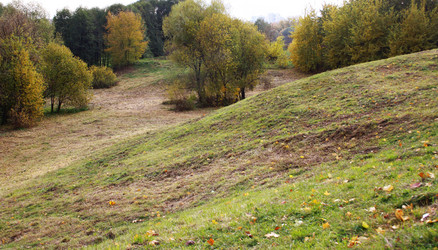 Similar image 983849