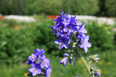 Similar image 983876