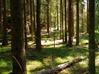 Similar image 983893