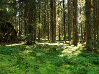 Similar image 983896