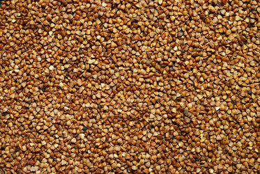 Similar image 983900