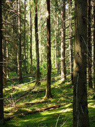 Similar image 983901