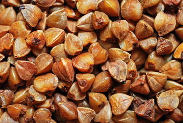 Similar image 983903