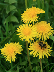 Similar image 983905